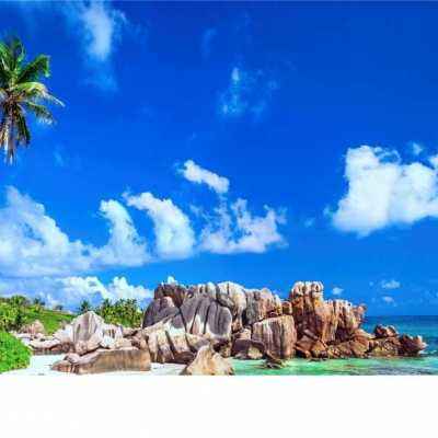 彩信平台官网app下载